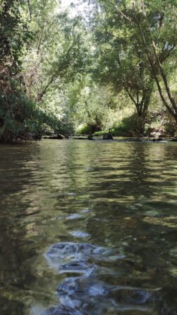 Baño Río Sepúlveda