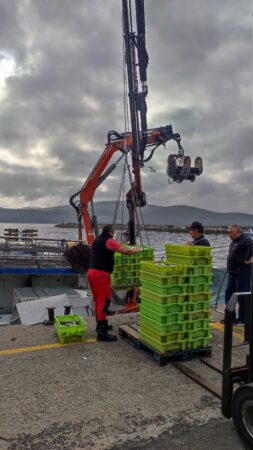 Descarga del pescado en el puerto 